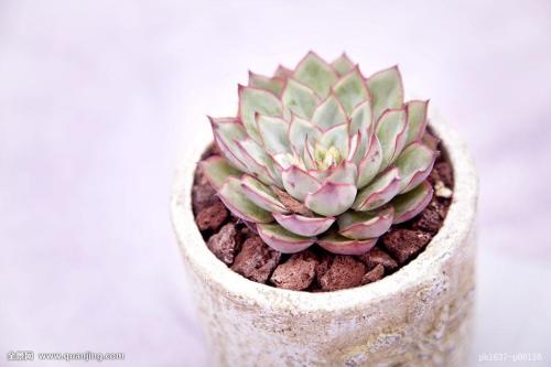 ȫIPOʶӽʷλ гǹĭ