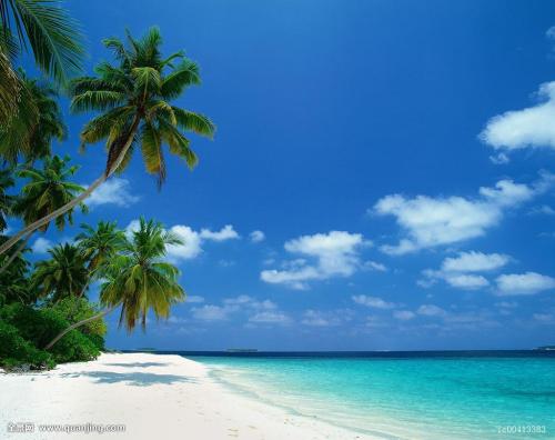 籩Ϯ ½߷ٳÿСʱ100